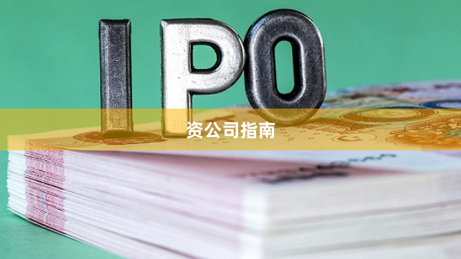 资公司指南